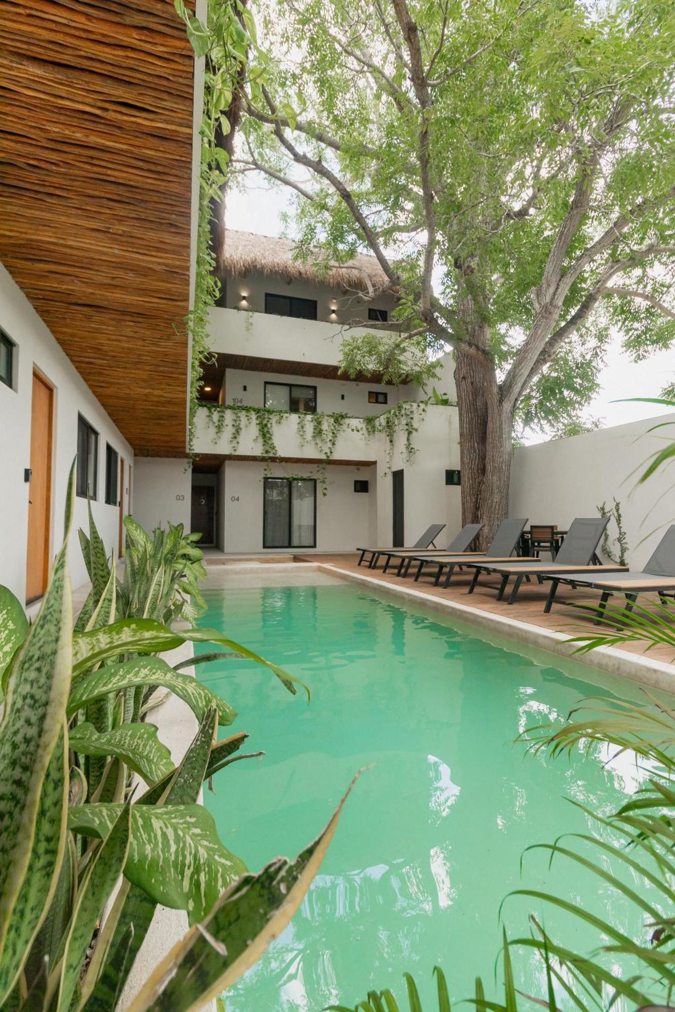 Cozy Apartment With Pool In Bacalar Center 외부 사진